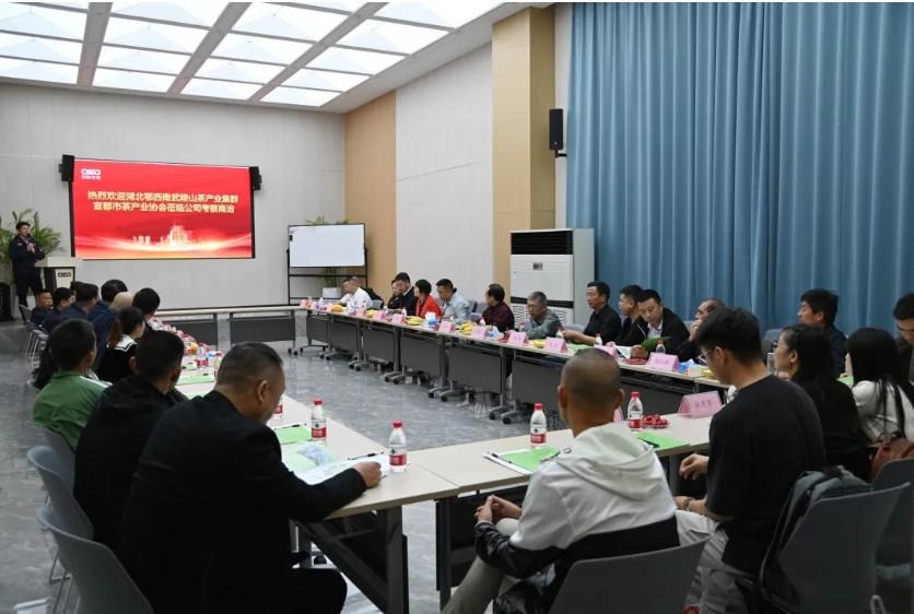 http://www.cn-amd.com/Upload/ueditor/1698730201966849.png