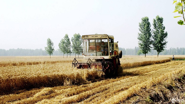 全国小麦收获过半 夏种工作全面展开