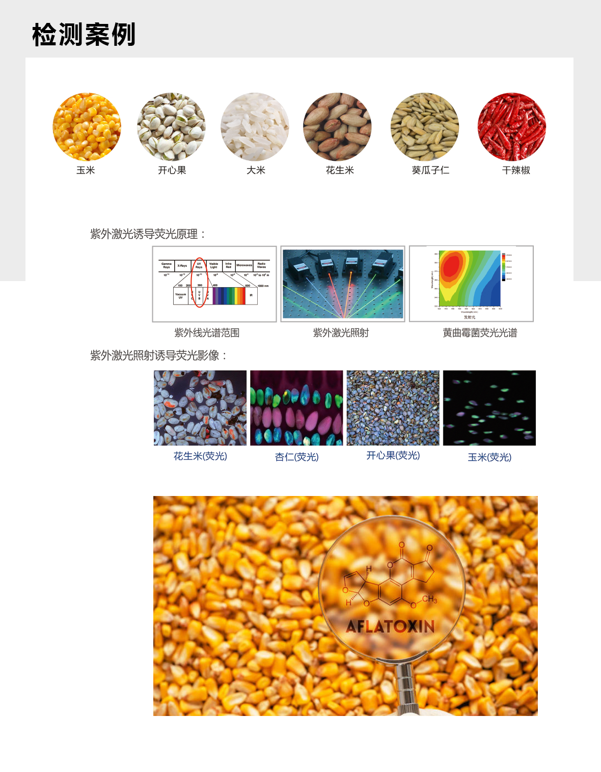 https://www.cn-amd.com/Upload/ueditor/1594025776423458.png