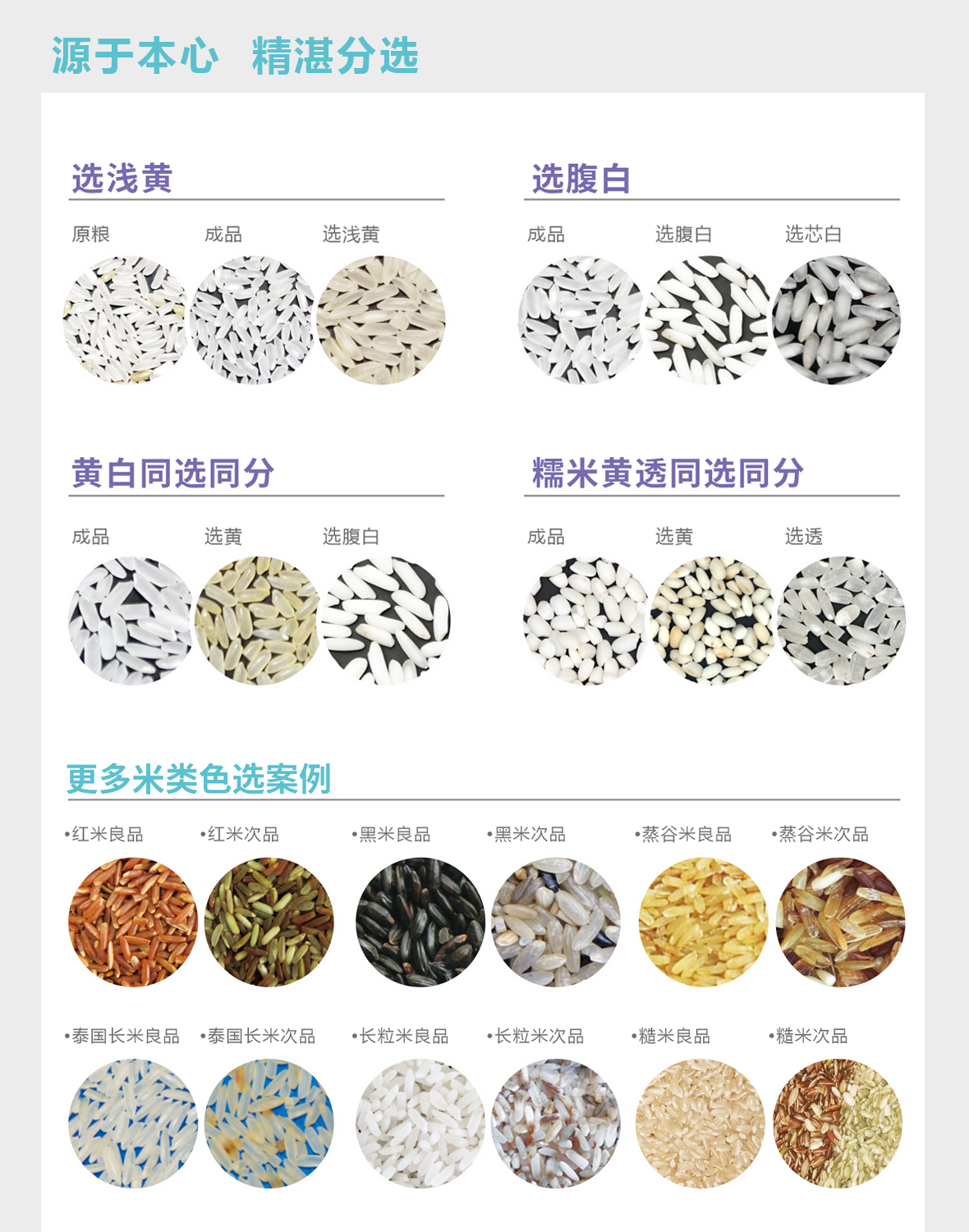 https://www.cn-amd.com/Upload/ueditor/1629964530639556.png
