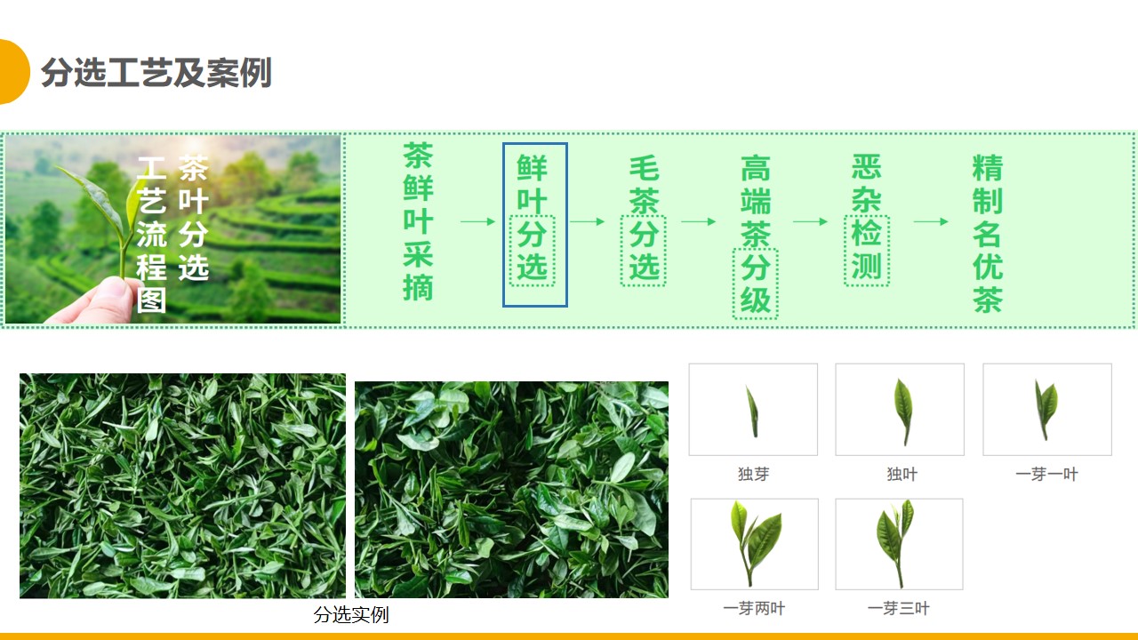 https://www.cn-amd.com/Upload/ueditor/1681280335278777.jpg