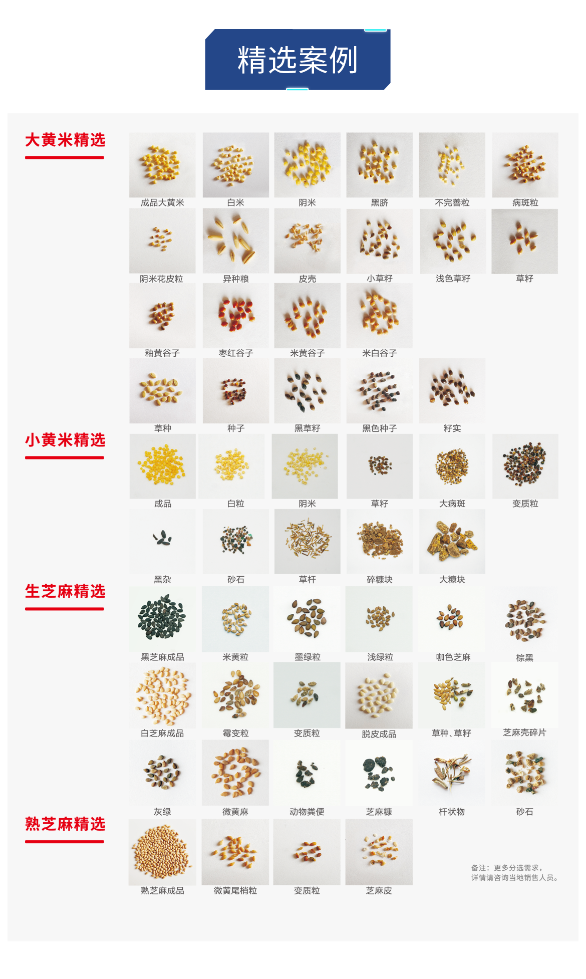 https://www.cn-amd.com/Upload/ueditor/1685093699580120.png