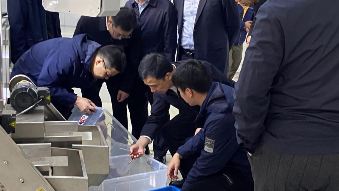 https://www.cn-amd.com/Upload/ueditor/1711074271212067.png