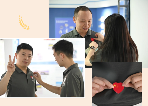 https://www.cn-amd.com/Upload/ueditor/1728437268381782.png