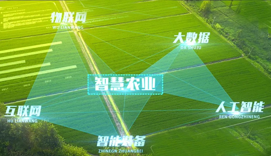 https://www.cn-amd.com/Upload/ueditor/1743472775737739.jpg