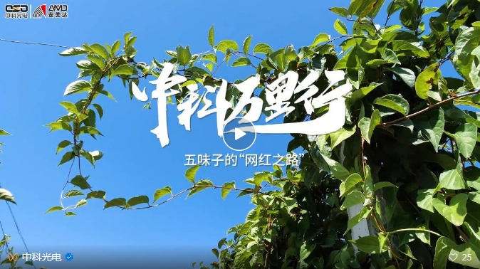 https://www.cn-amd.com/Upload/ueditor/1743473521157045.png