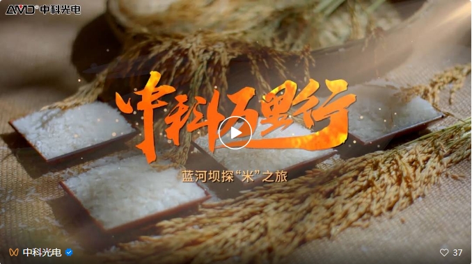 https://www.cn-amd.com/Upload/ueditor/1743473561850796.png