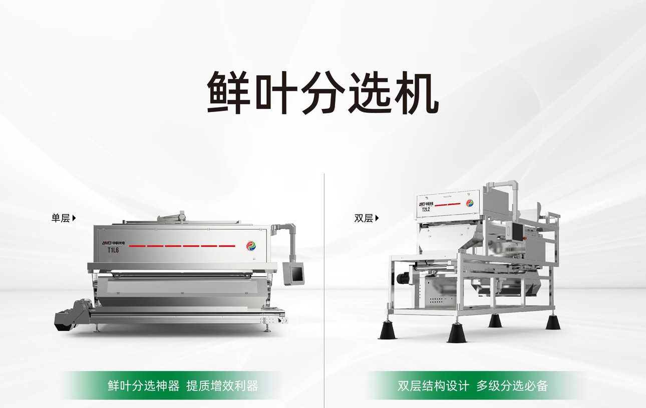 https://www.cn-amd.com/Upload/ueditor/1747984764254801.jpg