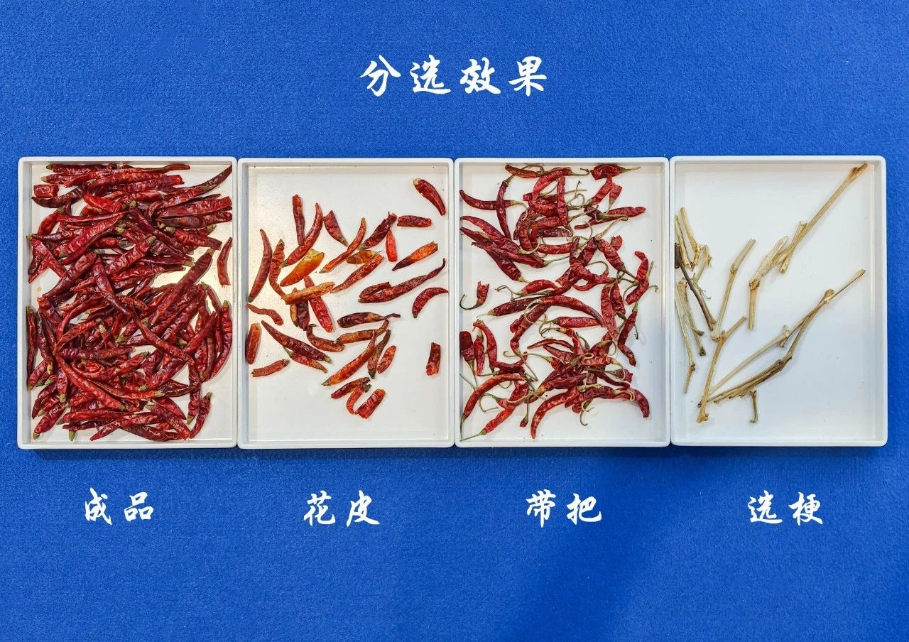 https://www.cn-amd.com/Upload/ueditor/1748584420848915.jpg