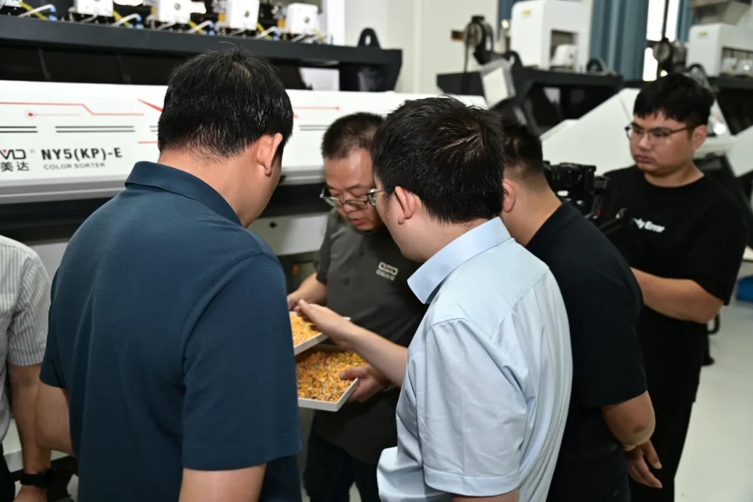 https://www.cn-amd.com/Upload/ueditor/1750992947911918.png