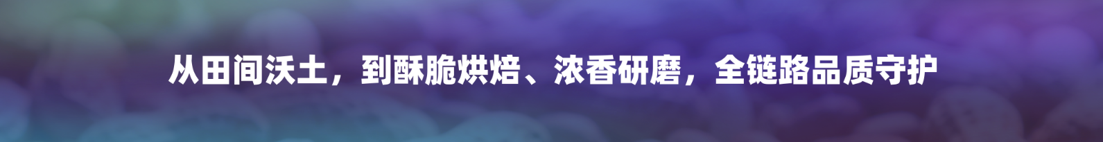 https://www.cn-amd.com/Upload/ueditor/1784772514511959.png