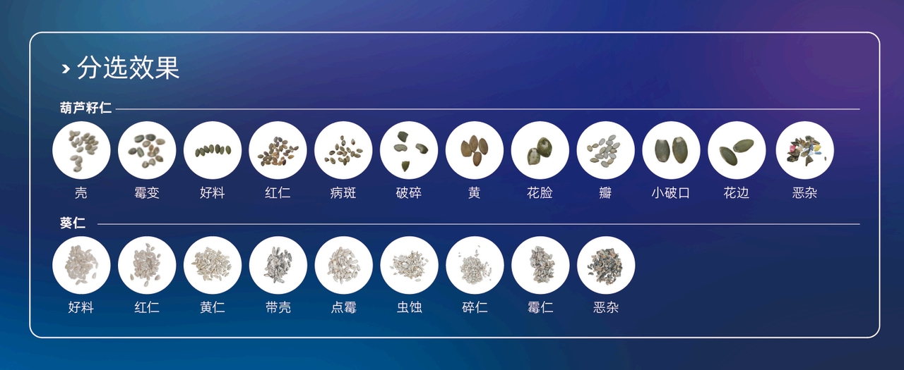 https://www.cn-amd.com/Upload/ueditor/1786093564751706.jpg