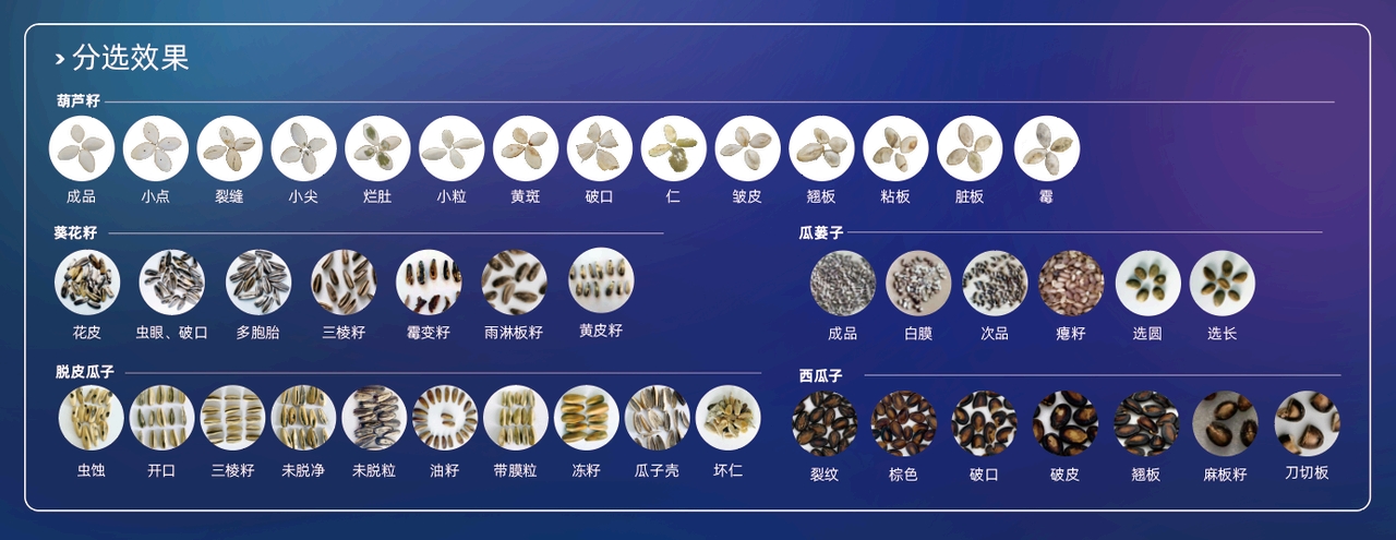 https://www.cn-amd.com/Upload/ueditor/1786093594685141.jpg