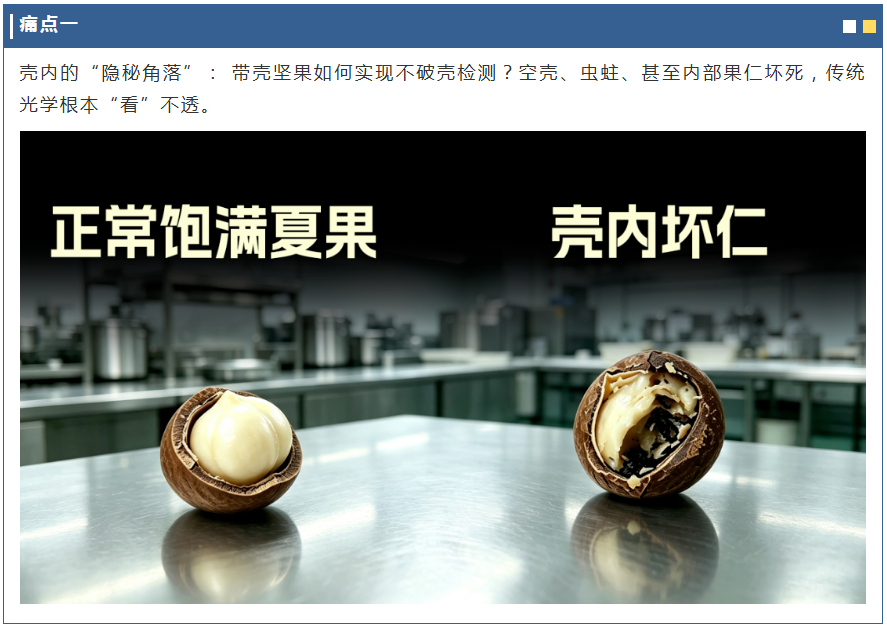https://www.cn-amd.com/Upload/ueditor/1786346719249036.png