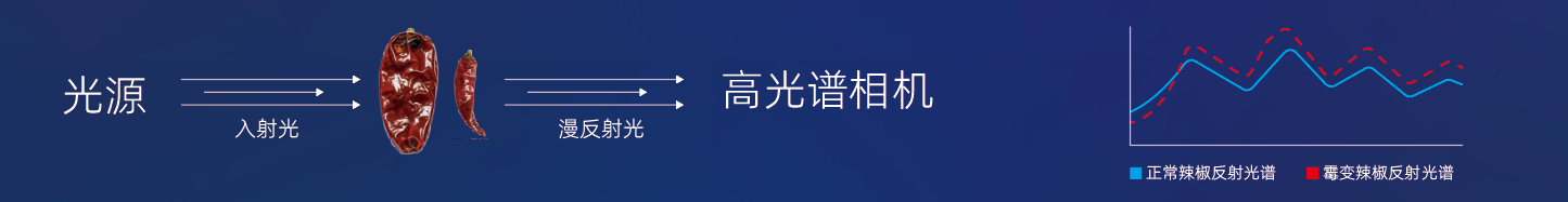 https://www.cn-amd.com/Upload/ueditor/1787298978552279.png