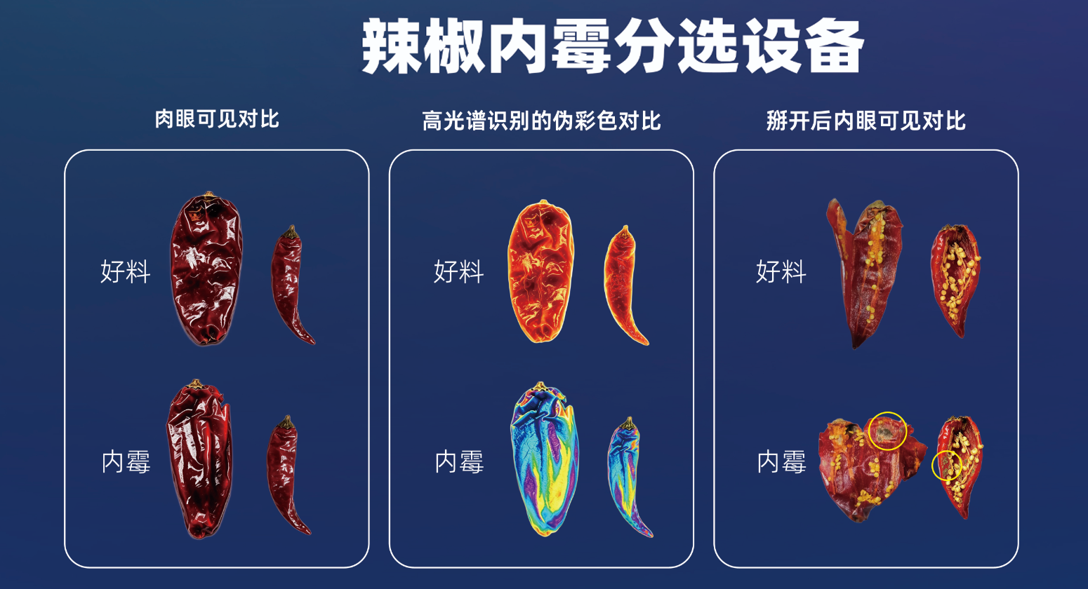 https://www.cn-amd.com/Upload/ueditor/1787299009162439.png