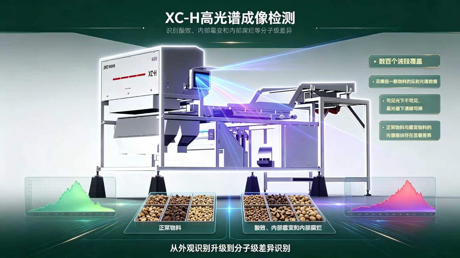 https://www.cn-amd.com/Upload/ueditor/1789029354413231.jpg