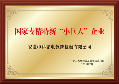 38-国家专精特新“小巨人”企业