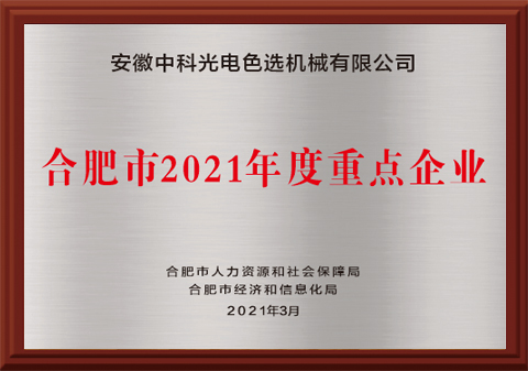 465-合肥市2021年度重点企业