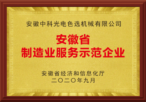 37-安徽省制造业服务示范企业