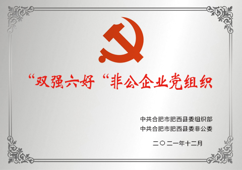 621-“双强六好”非公企业党组织
