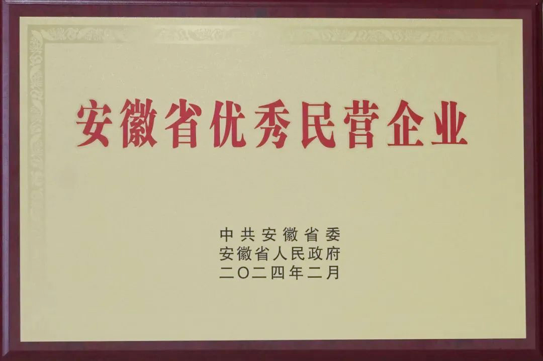 853-安徽省优秀民营企业